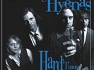 Hard Times + Crawl / Covers by Laughing Hyenas (Record, 2018)