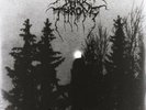Panzerfaust by Darkthrone (Record, 2011)