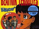 Bubblecore by Beatnik Termites (Record, 2023)