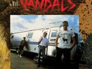 Slippery When Ill - RED MARBLE by The Vandals (Record, 2022)