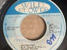 DELROY WILSON Imagination LLOYD CHARMERS 45 Wild Flower 7