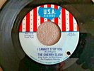 Garage  (THE CHERRY SLUSH) on U.S.A - I Cannot Stop You / Don't Walk Away- 45rpm