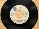 T. REX By The Light Of A Magical Moon Find a Little Wood Promo Marc Bolan
