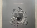 The Naked And Famous. - In Rolling Waves - 12” Vinyl LP Ex