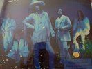 The BLACK CROWES