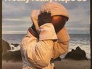 LANY I Really Really Hope So / A Beautiful Blur - RARE Original Cover LP -M DISC