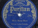 Jazz 78 MIDWAY GARDEN ORCHESTRA Black Sheep Blues PURITAN 11272 HEAR 2509