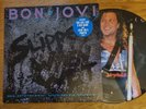 Bon Jovi Slippery When Wet Limited Edition PICTURE DISC LP Album