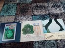 1x3 vintage albums 1970s,2 folk,1 rock.Shelagh Mcdonald,Trees,David bowie.