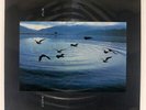 T.TOYODA PLUTO SUITE 