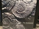 The Sundays Reading, Writing, and Arithmetic Dark Grey Vinyl LP NEW IN HAND