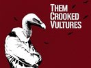 Them Crooked Vultures Them Crooked Vultures Double Vinyl LP [VGC+]