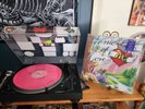 Anal Cunt - Picnic Of Love Record Store Day Exclusive Etched Vinyl Record