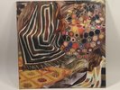 Ty Segall Sleeper Vinyl LP - Signed First Pressing