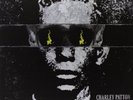 PATTON,CHARLEY Complete Recorded Works In Chronological Order, Vol. 2 (Vinyl)