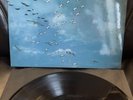 Fancy Free by Donald Byrd VMP Vinyl Me Please Record Jazz Album