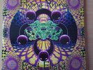 Flying Rhino - First Flight (Vinyl) Nearly Mint Condition
