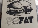 The Descendents Bonus Fat SST Records