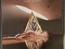 The Vamps Cherry Blossom Vinyl LP 2020 NEW FULLY Hand Signed All 4 Band Members