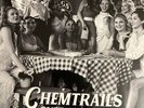 Lana Del Rey GREY COLOURED VINYL  LP Chemtrails Over The Country Club Sealed