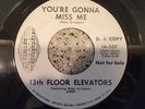 13TH FLOOR ELEVATORS You're Gonna Miss Me 1970 PROMO 7