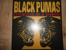 BLACK PUMAS - Chronicles Of A Diamond - LP Atco Records Rotes Vinyl