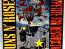 GUNS N' ROSES Appetite For Destruction 12