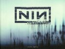 Nine Inch Nails 