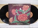 Todd Rundgren Something / Anything 2 x vinyl LP Bearsville records 2BX 2066 1972