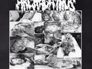 Archagathus/Haggus 