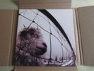 Pearl Jam Vs LP Record 1st  press