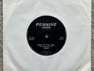 SPIDER 'Back To The Wall' rare original NWOBHM 7