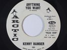 Northern Soul 45 KENNY HAMBER Anything You Want/Ain't Gonna Cry on Arctic NM wlp