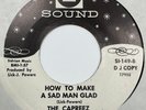 Northern soul 45 THE CAPREEZ on S SOUND How To Make A Sad Man Glad