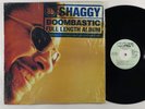 Shaggy 