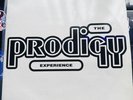 The Prodigy Experience 2 X LP Orig Pressing Rare Classic Breakbeat Hardcore Rave