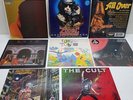 Variety Vinyl Records x8 featuring The Cult, Iron Maiden and Rush