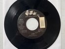 Beck Loser / Alcohol 45 RPM Record