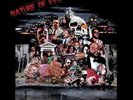 Psychic Mirrors - Nature Of Evil Modern Funk LP Original 1st Press 2016 Boogie