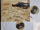 RJD2 – Deadringer-2*LP-Near Mint - Definitive Jux – DJX35 (2002)