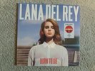 Vinyl 12