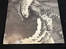 THE GROUNDHOGS SPLIT VINYL LP