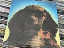 KISS - Hot In The Shade - 1989 Club Ed. Vinyl LP Album Ultrasonic Cleaned Shrink
