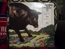 BULL ANGUS   SELF TITLED DEBUT VINYL   HARD PROGRESSIVE PSYCH ROCK   1971