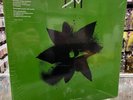 Depeche Mode Exciter The 12