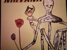 nirvana incesticide vinyl