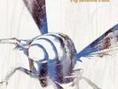 Animal Liberation Orchestra - Fly Between Falls LP NEW