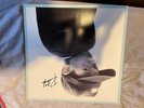 Raleigh Ritchie/ Jacob Anderson - Andy Signed Vinyl - Rose Pink