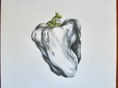 Ween- White Pepper- Plain Recordings (2009 Reissue)- 180 Gram