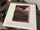 The Pixies 